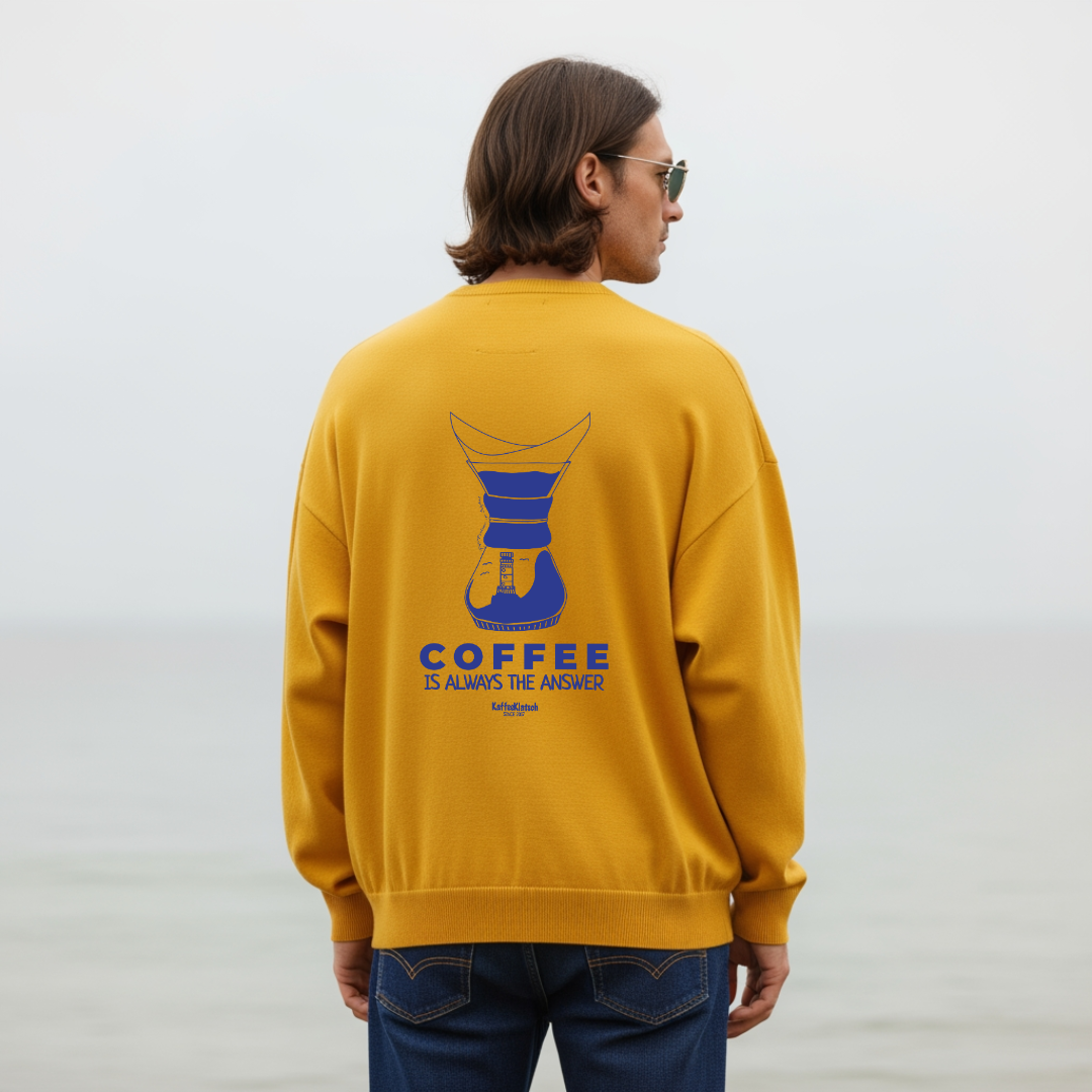 Pullover Männer - Chemex